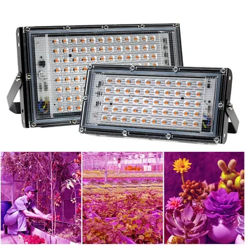 LED 성장 빛의 전체 스펙트럼 220V110V50W100W380-440NM EU 플러그 Led 는 온실을 위한 수경 꽃은 시드 피토 램프