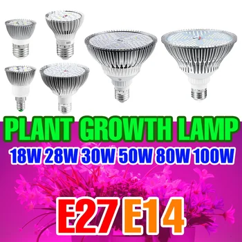 E27Led 식물을 위한 램프를 가득 차있는 스펙트럼 LED 식물 성장 전구 실내 꽃 온실 묘목 수경 성장 빛 E14