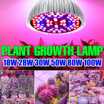 E27 가득 차있는 스펙트럼 LED 성장 빛 220V 식물 램프를 위한 식물 E14 모종 전구 18W28W30W50W80W100W LED Veg 꽃 Fitolampy