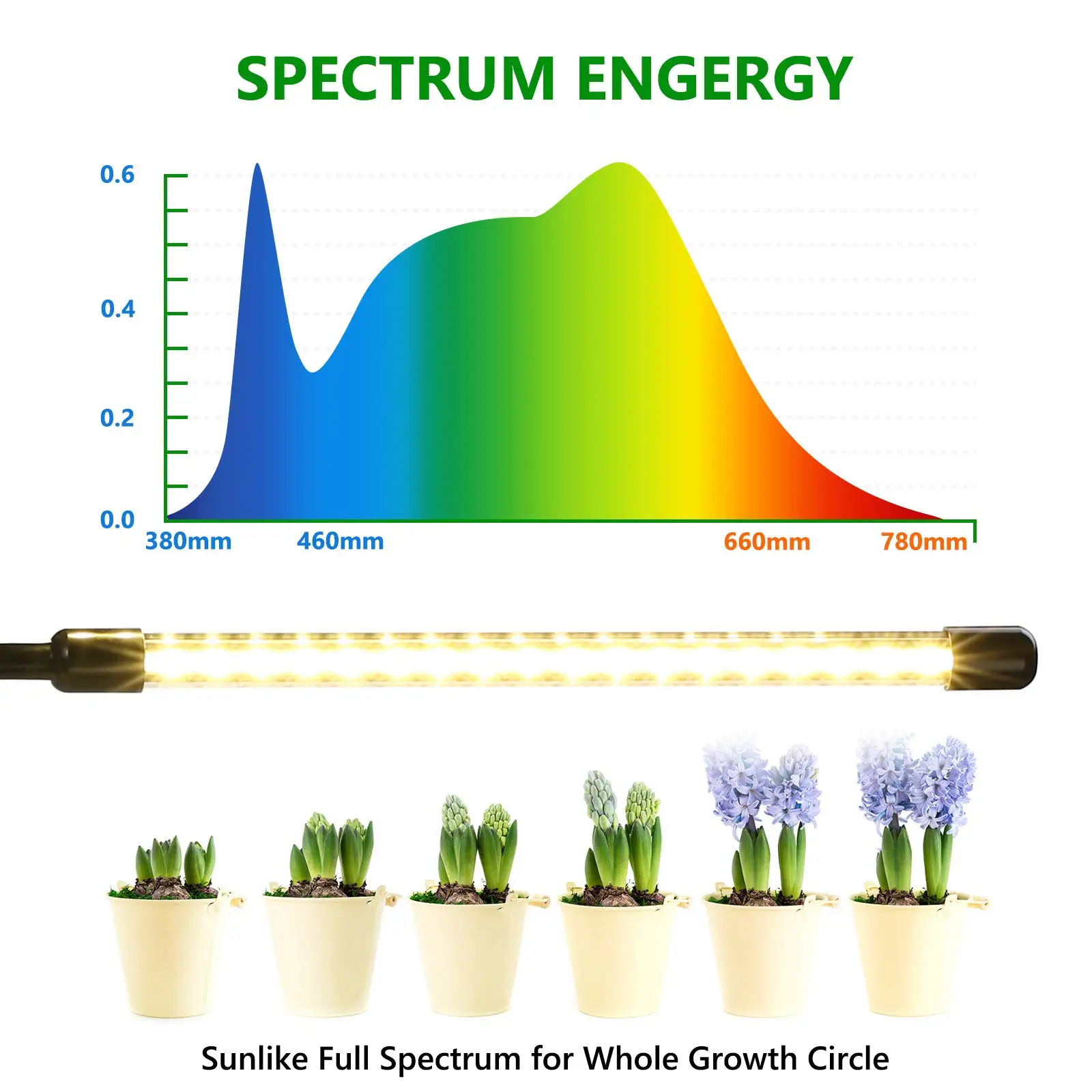 LED 성장 빛 USB 식물 램프 전체 스펙트럼 Fitolamp 제어 Phytolamp 식물을 위한 모종 꽃 홈막 성장 상자
